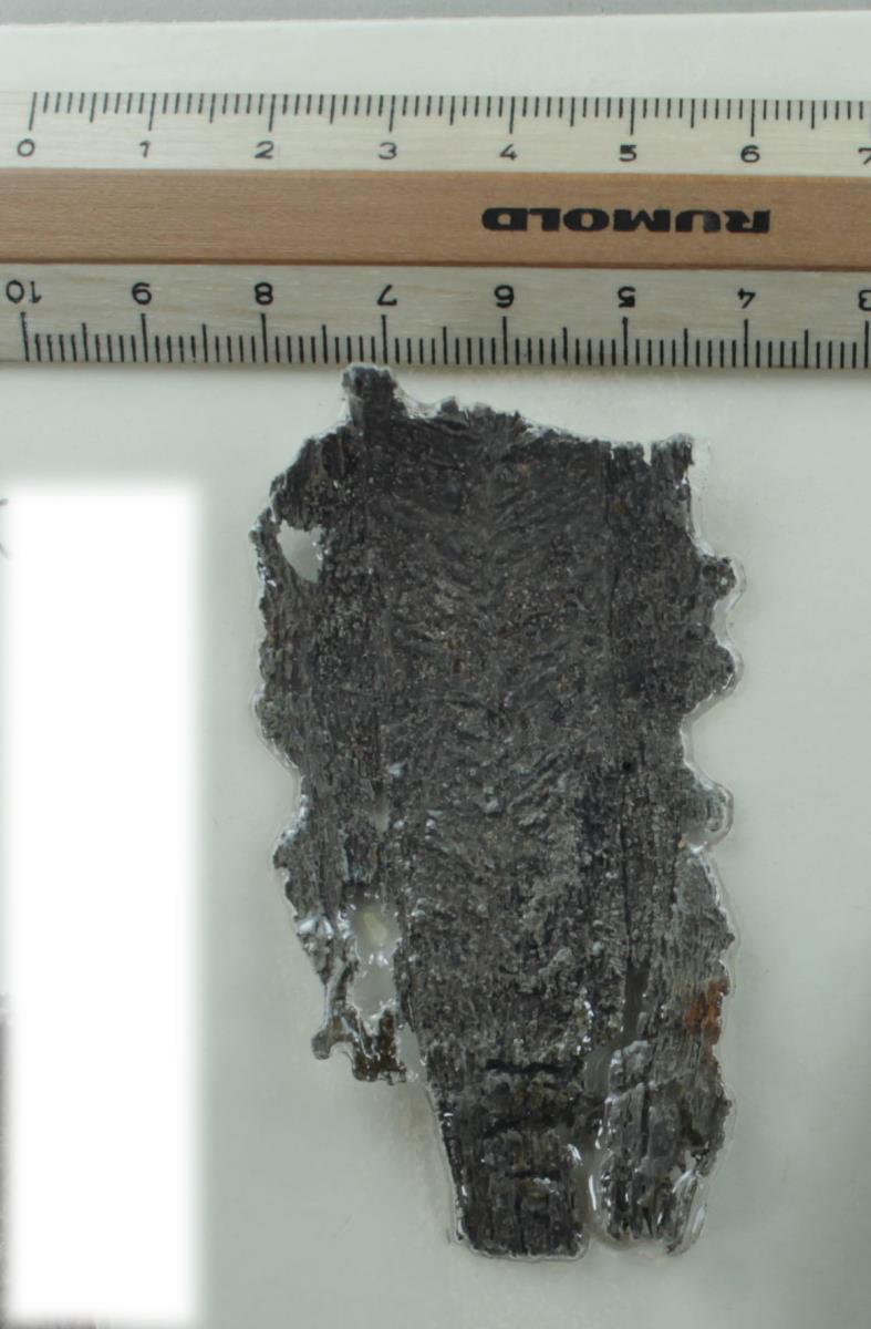Schwertklingenfragment