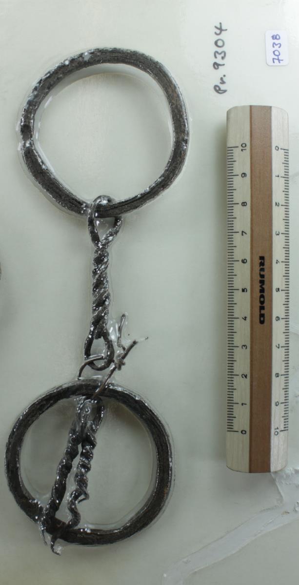 Ringtrense