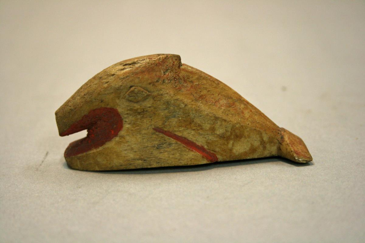 Knochenfisch
