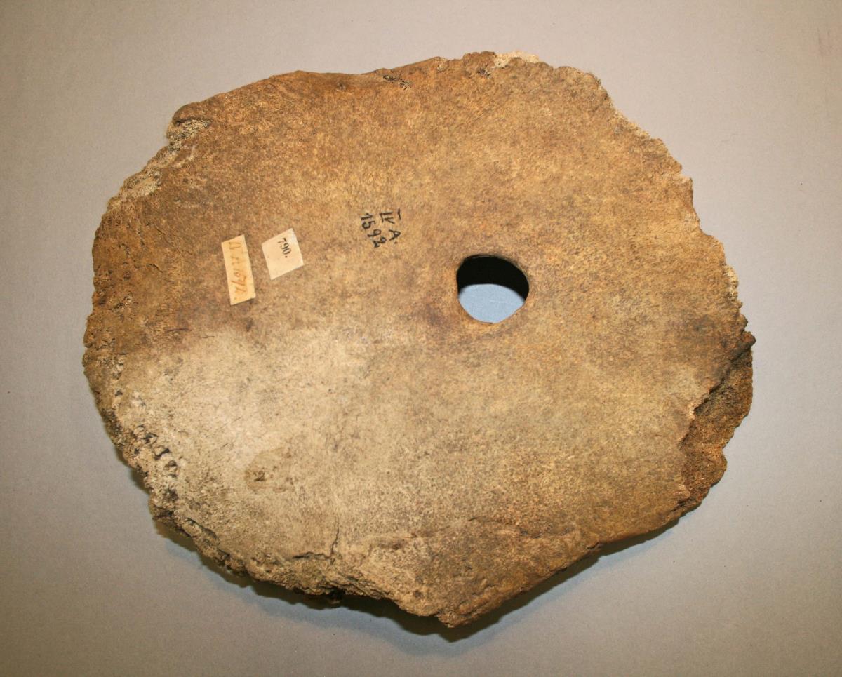 IV A 1592