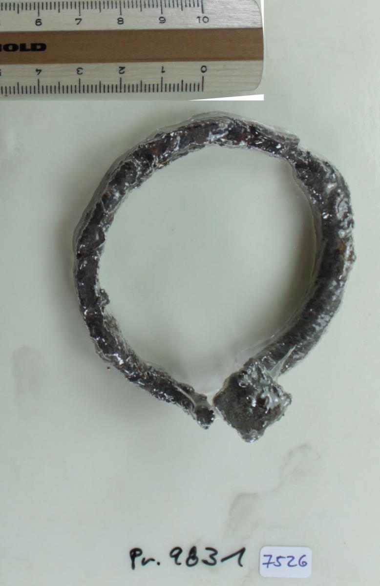 Hufeisenfibel