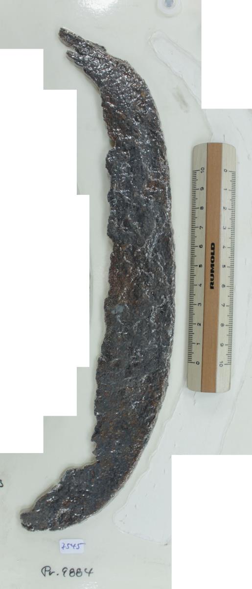 Winkelsichel