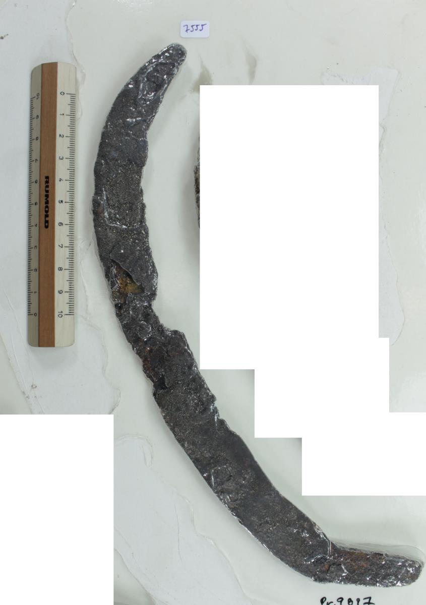 Winkelsichel