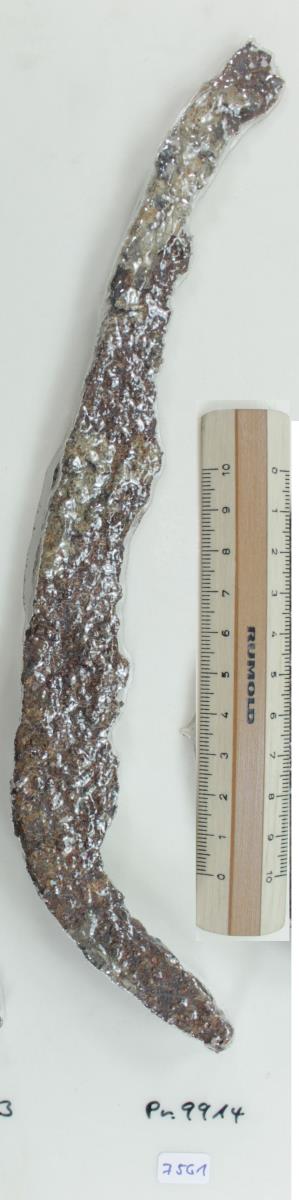 Winkelsichel
