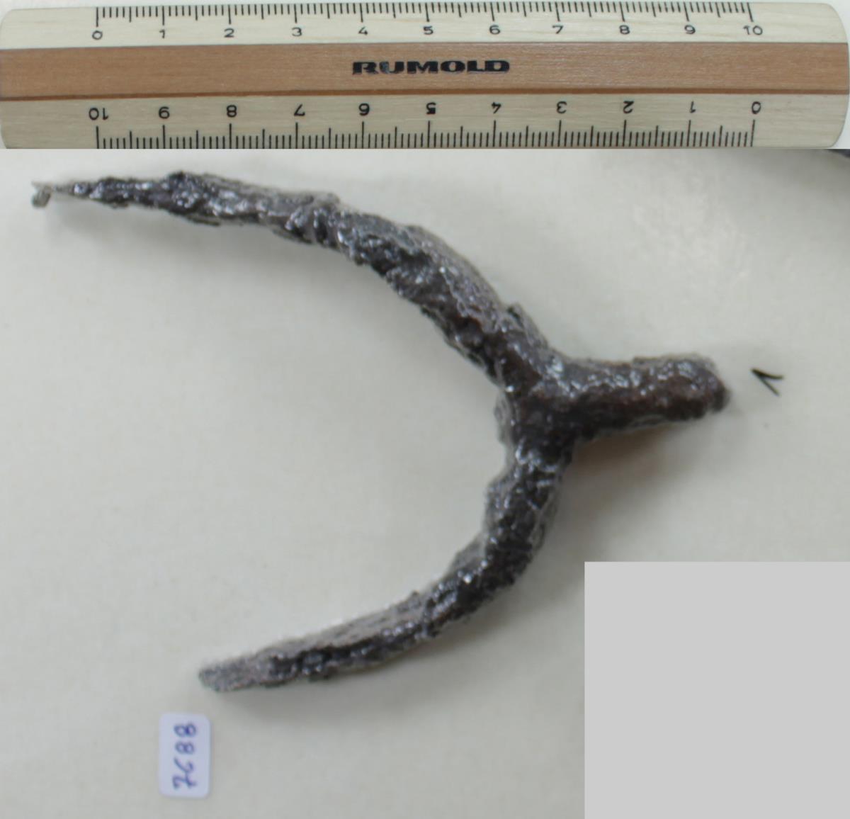 Stachelsporn