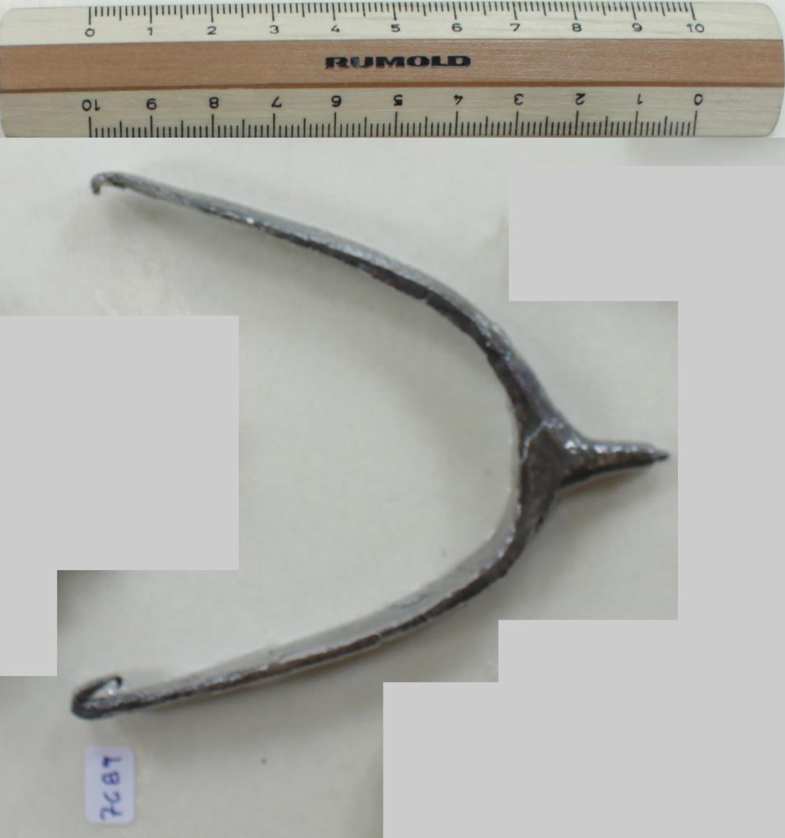 Stachelsporn