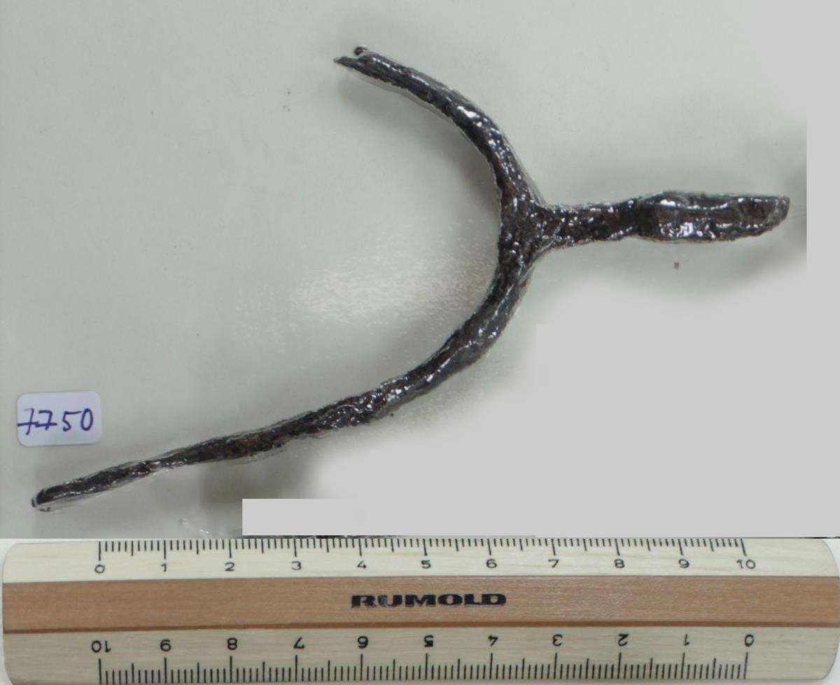 Stachelsporn