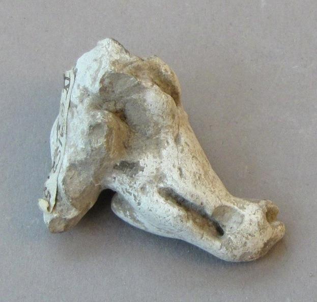 IV Ca 3152 (54)