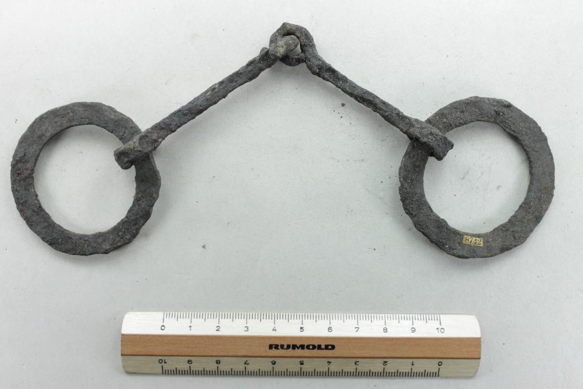 Ringtrense