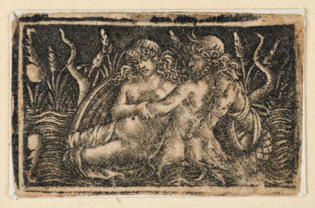 Triton und Nereide