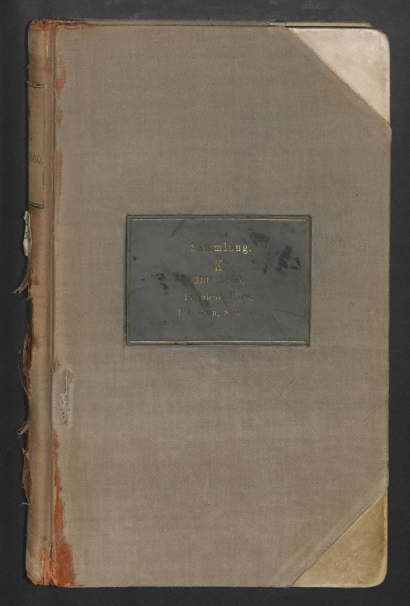 V. Elfenbein, Horn, Bernstein, Stein etc. Nr. 3101-3860.