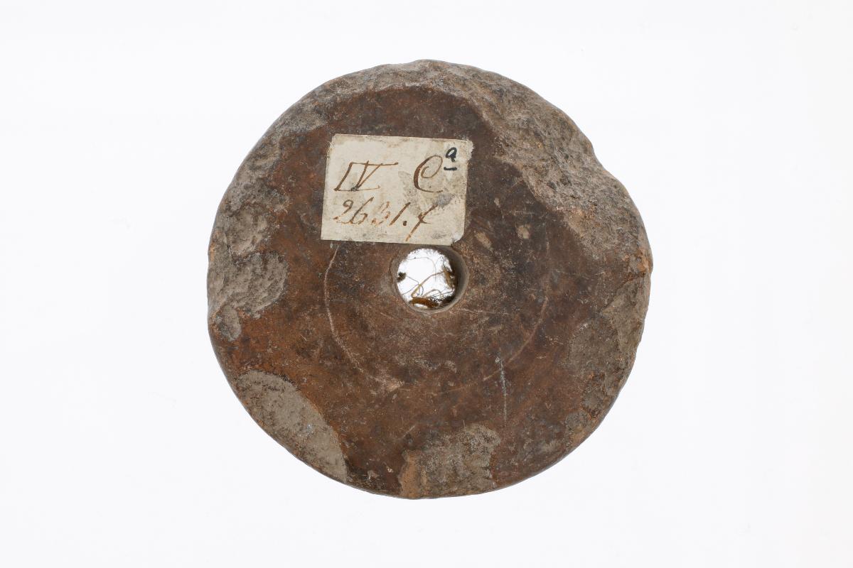 IV Ca 2631 t