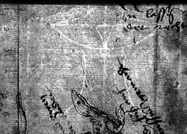 Studienblatt mit einer Schnecke, einer Schlange, einer Eidechse und einem Frosch mit handschriftlichen Bemerkungen*)