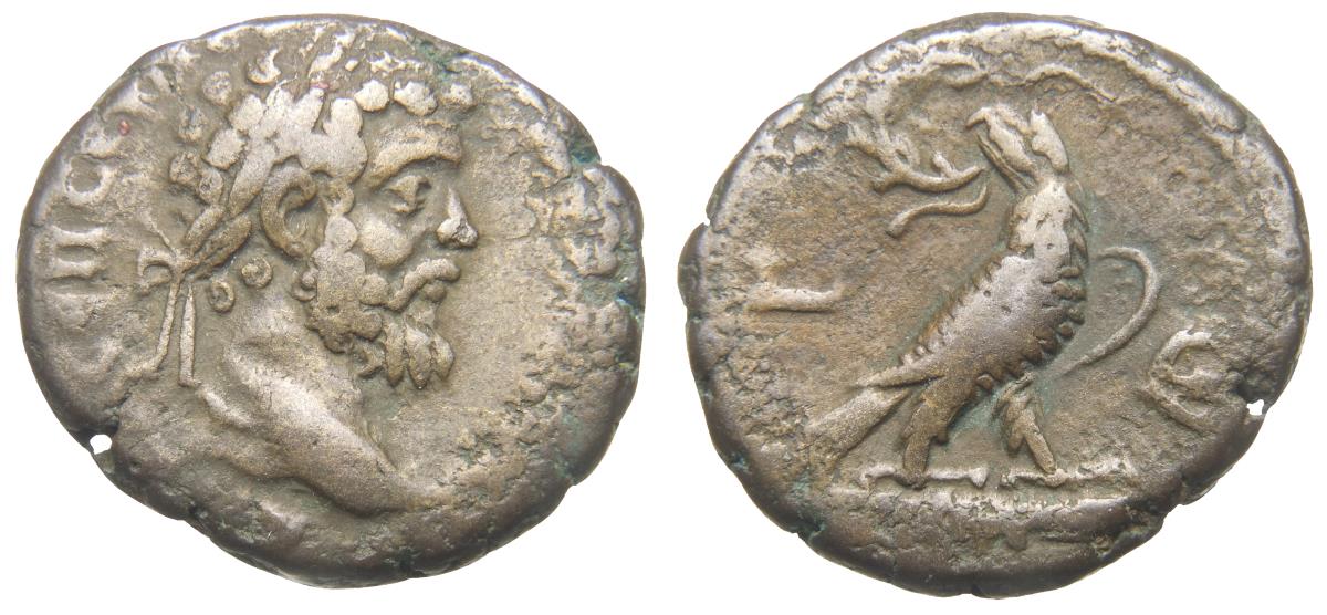 Alexandria: Septimius Severus