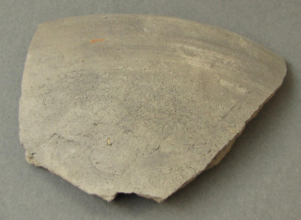 V A 64542 e