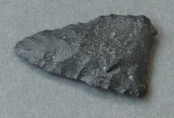 V A 64556 f