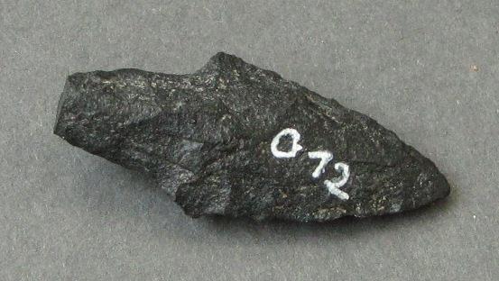 V A 64556 l