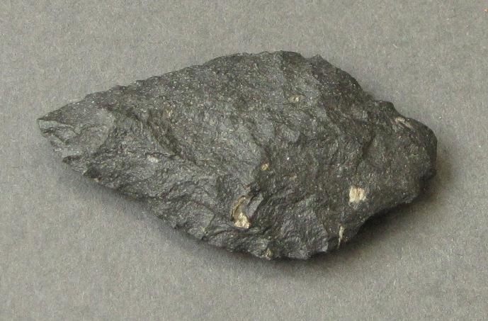 V A 64557 c