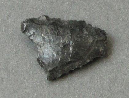 V A 64558 g