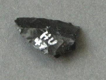 V A 64558 h