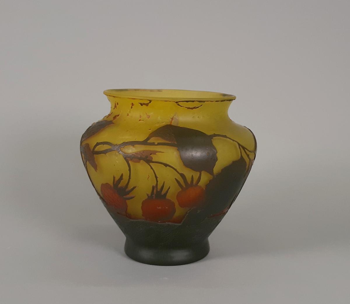 Vase mit Himbeerranken