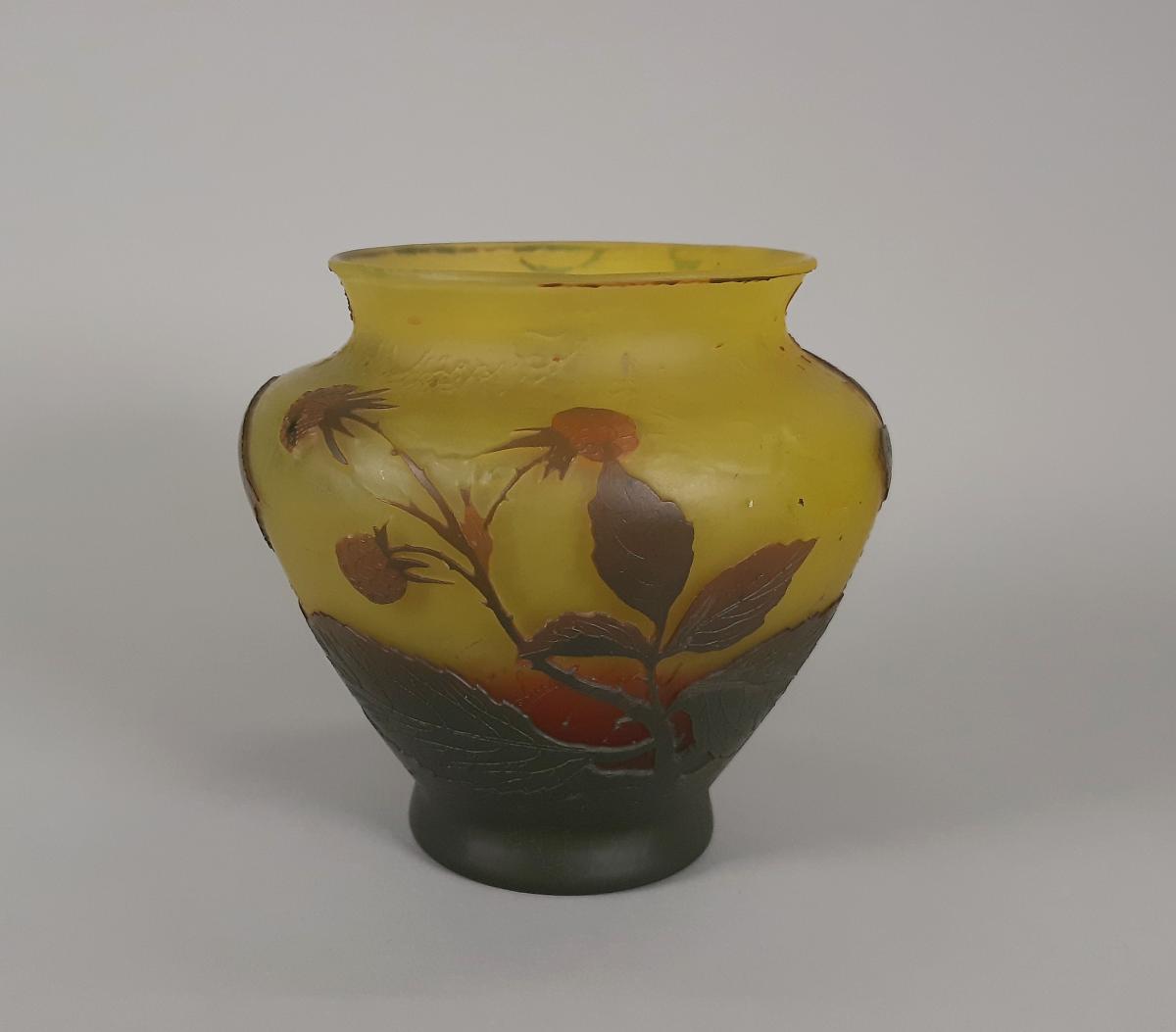 Vase mit Himbeerranken