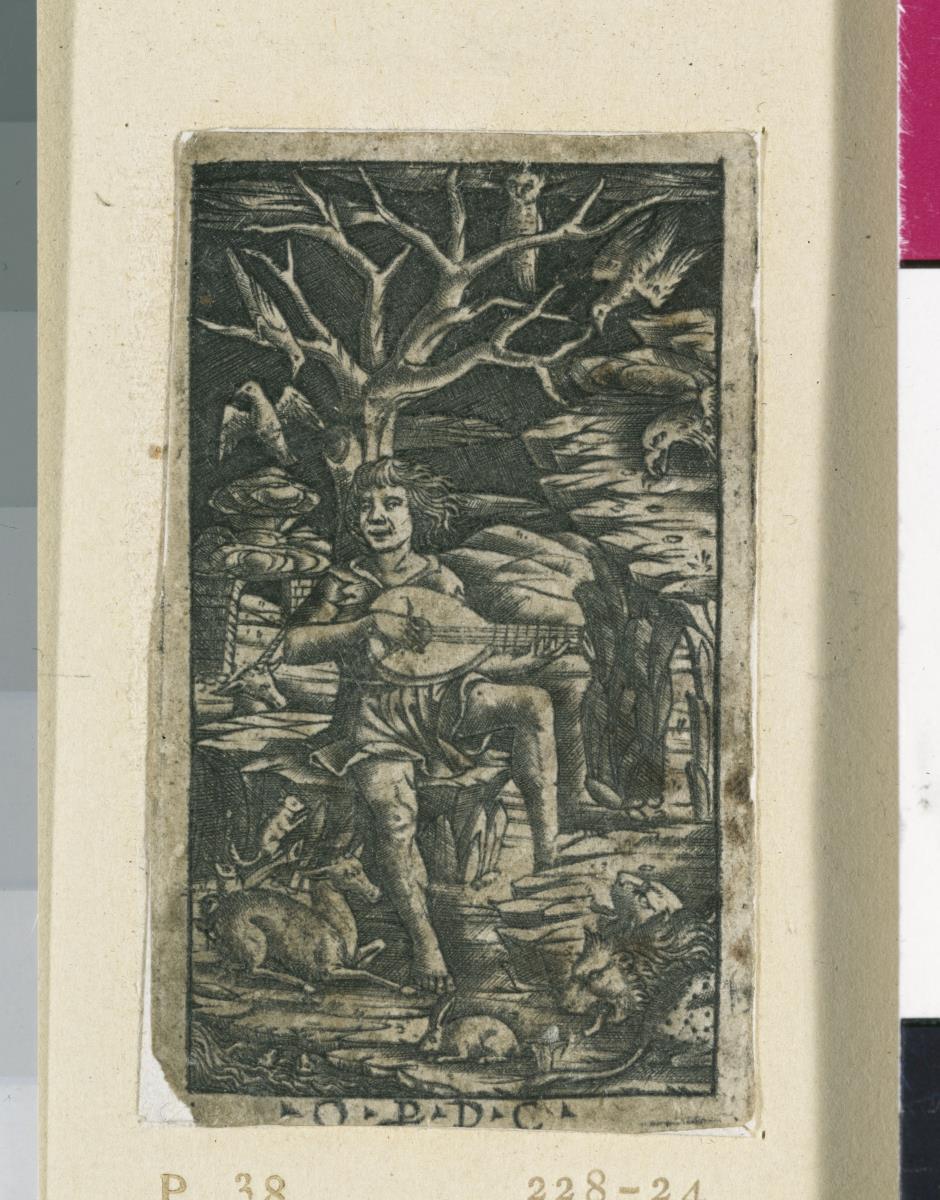 Orpheus