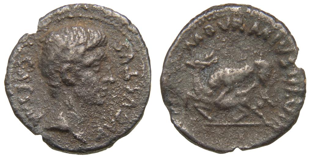 Augustus