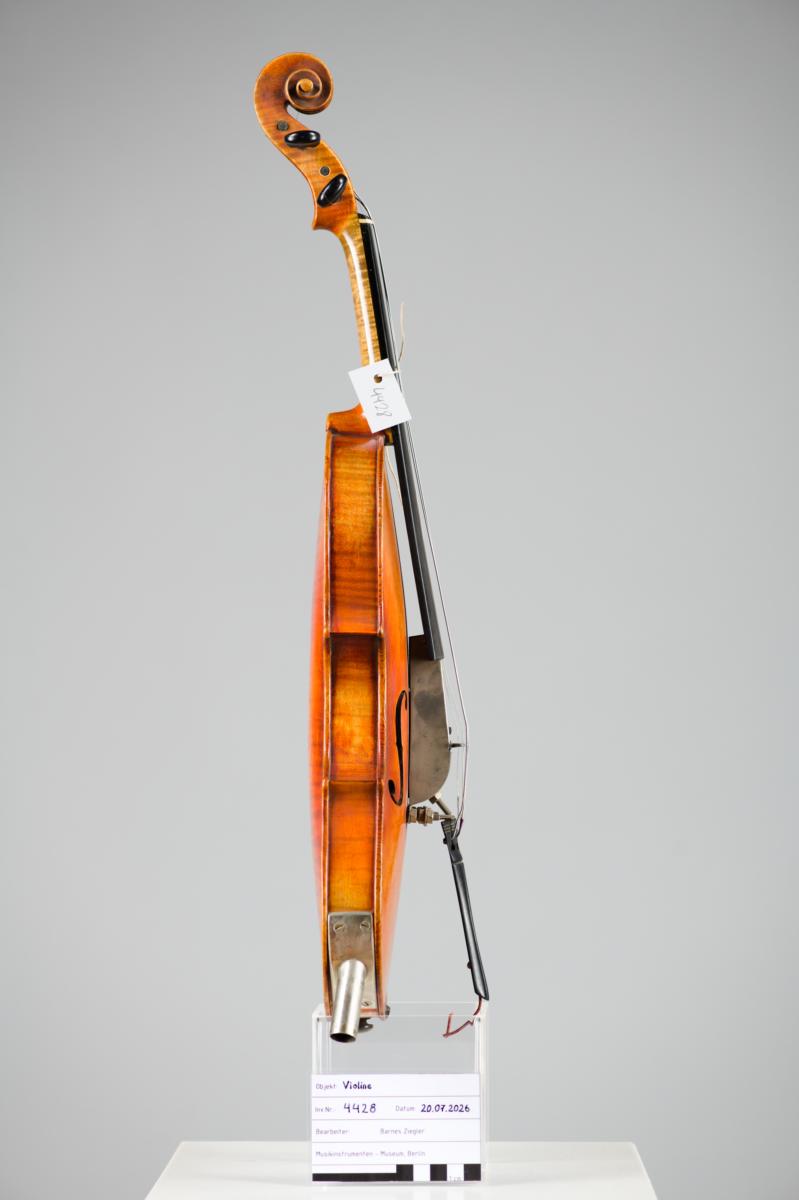 Violine