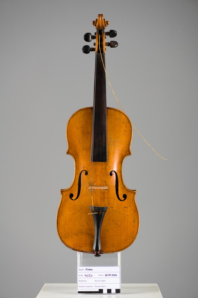 Violine