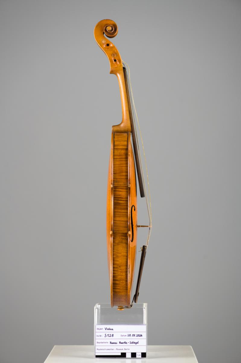 Violine