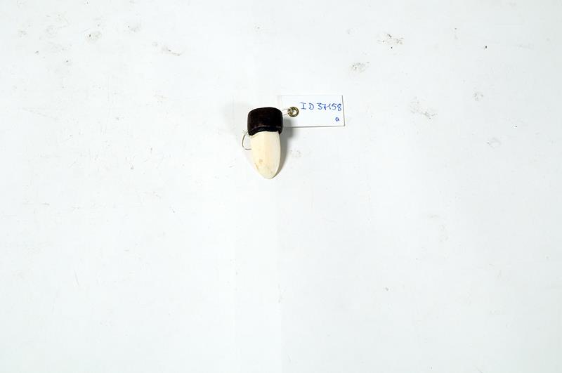 I D 37158 a