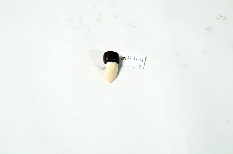 I D 37158 b