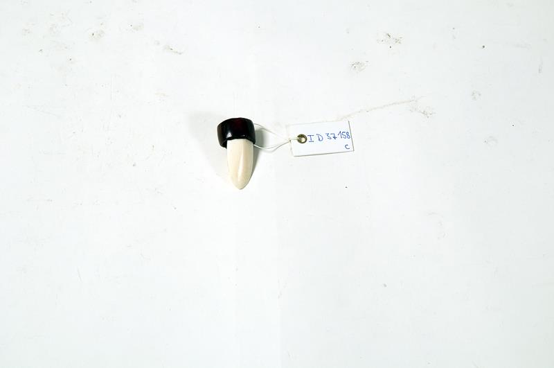 I D 37158 c