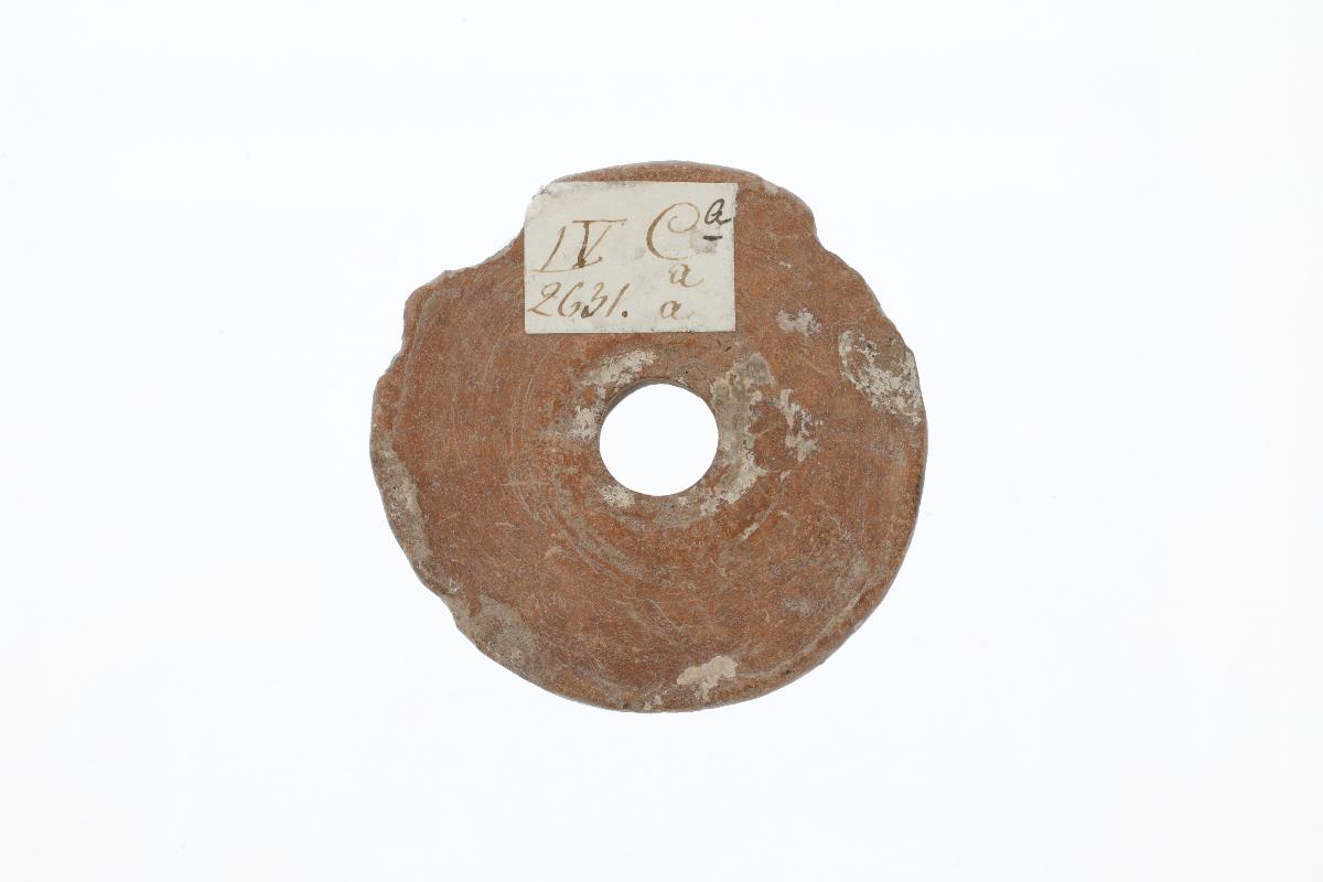 IV Ca 2631 aa