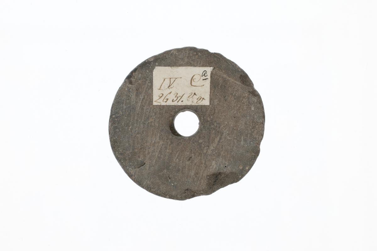 IV Ca 2631 vv