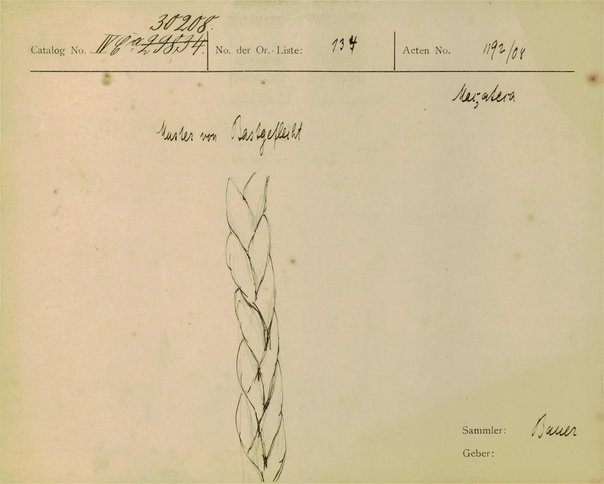 IV Ca 30208