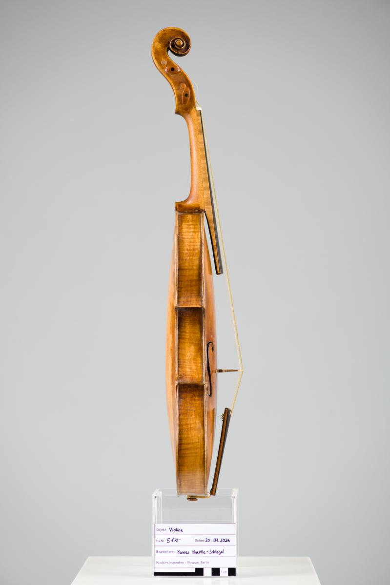 Violine