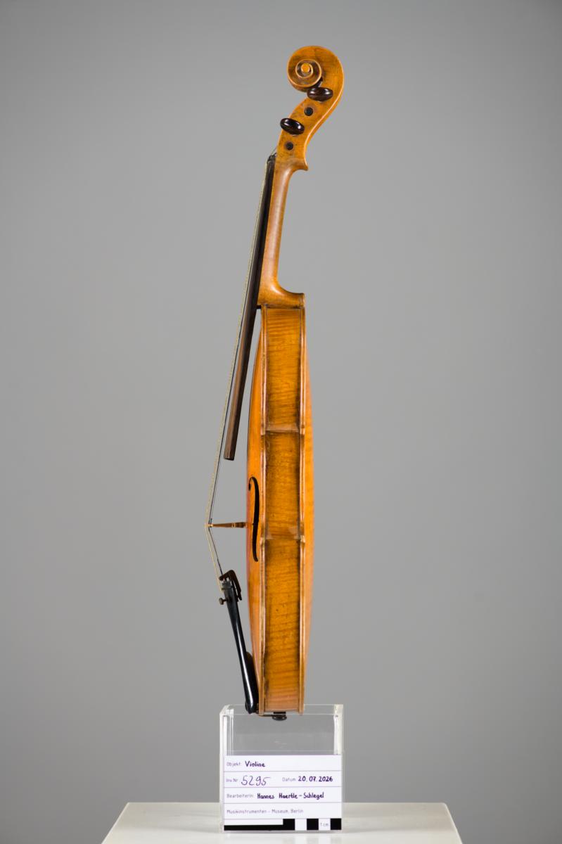 Violine