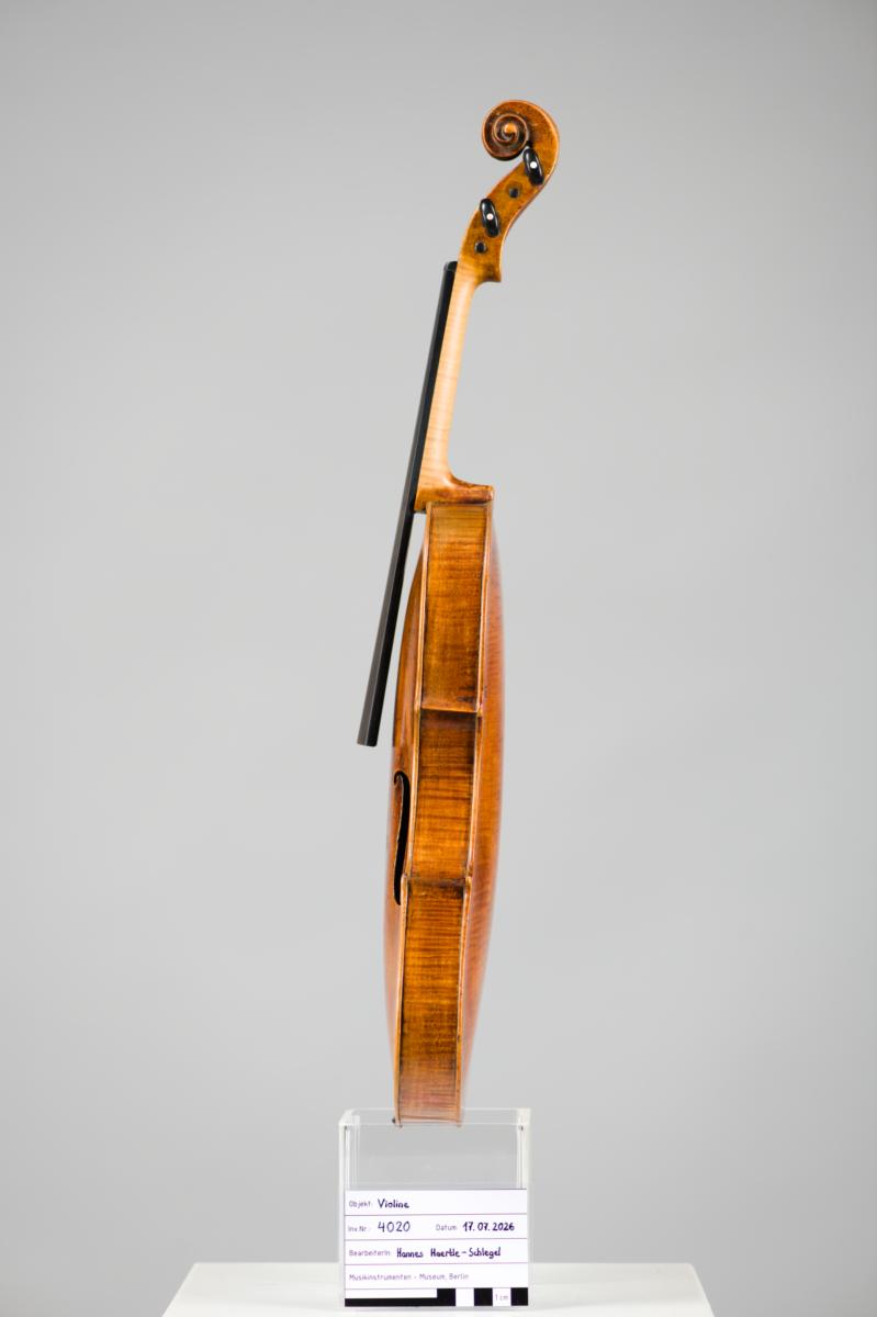 Violine