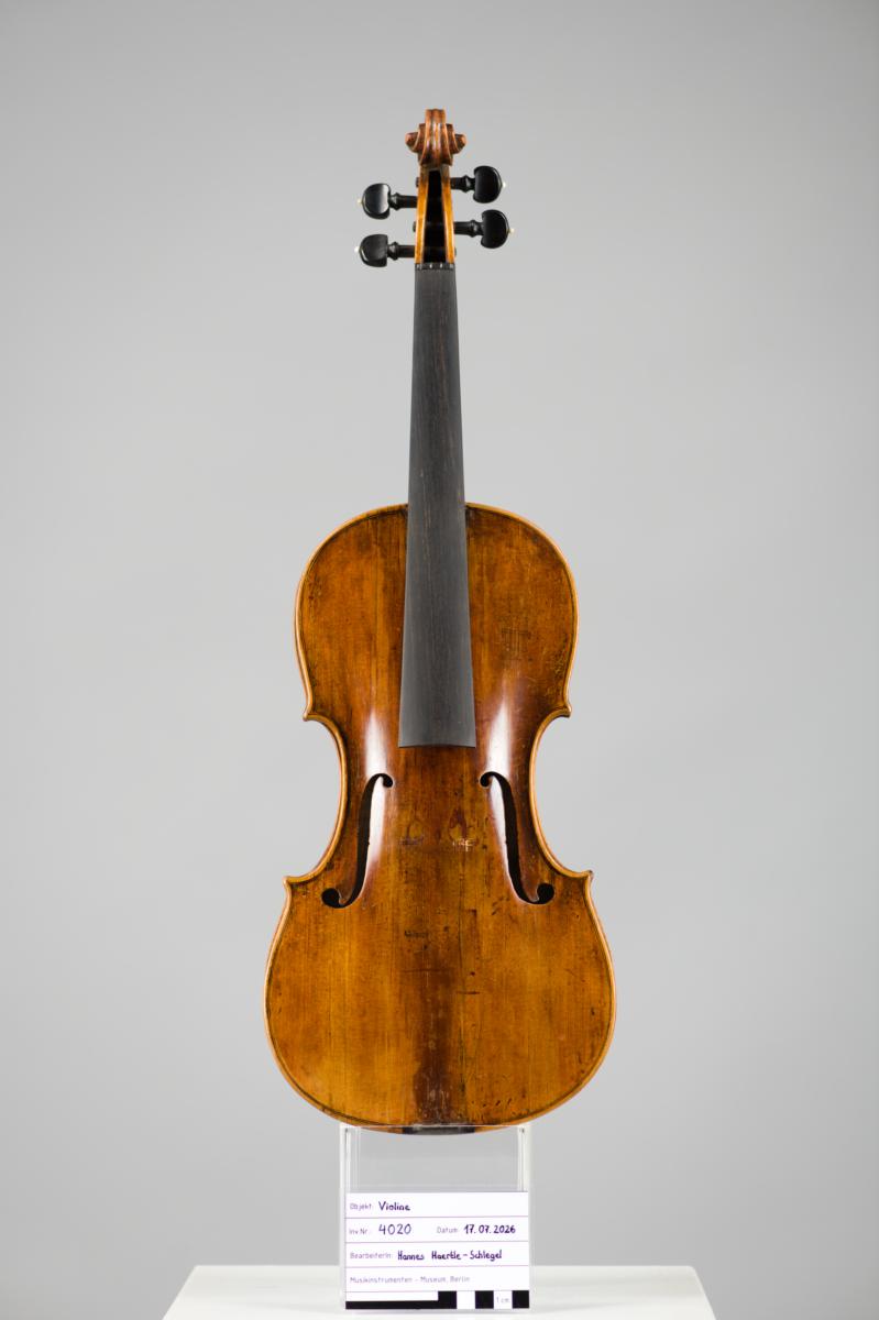 Violine