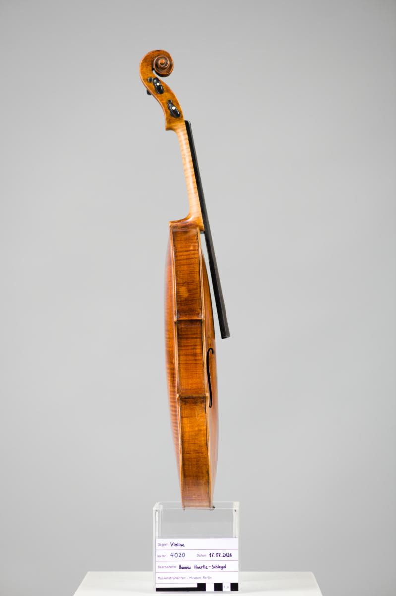 Violine