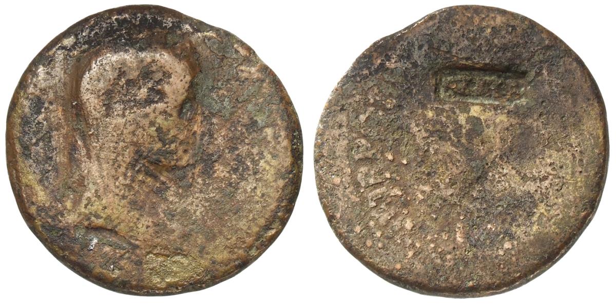 Drusus (Minor)