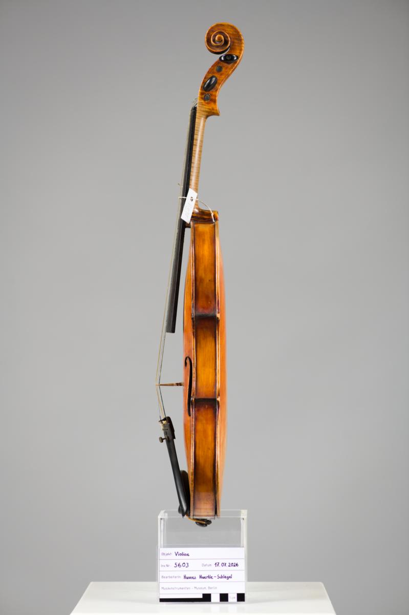 Violine
