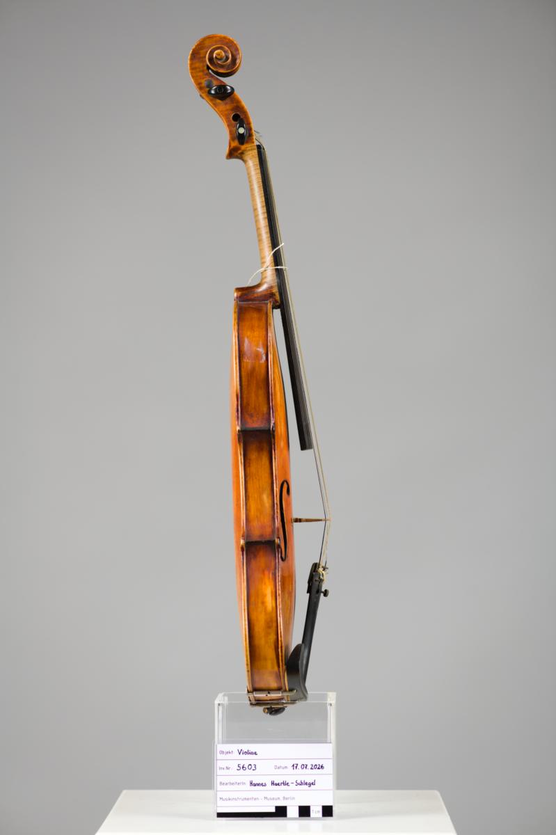 Violine
