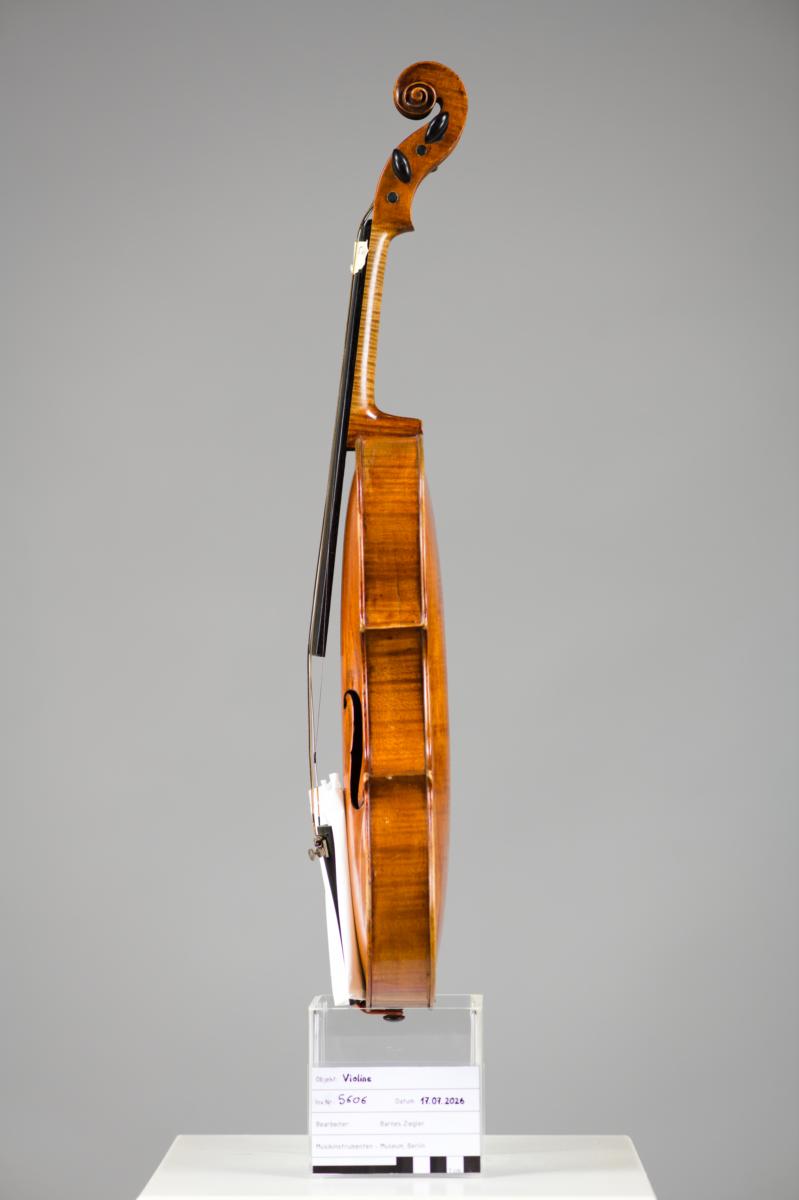 Violine