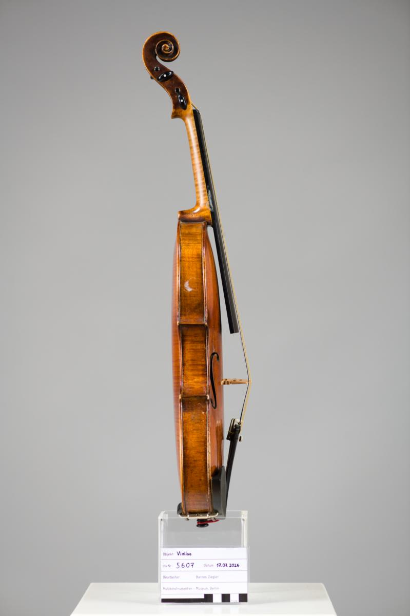 Violine