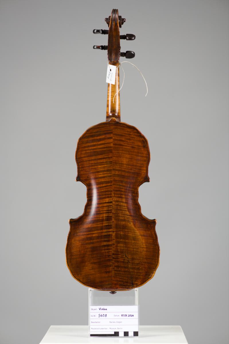 Violine