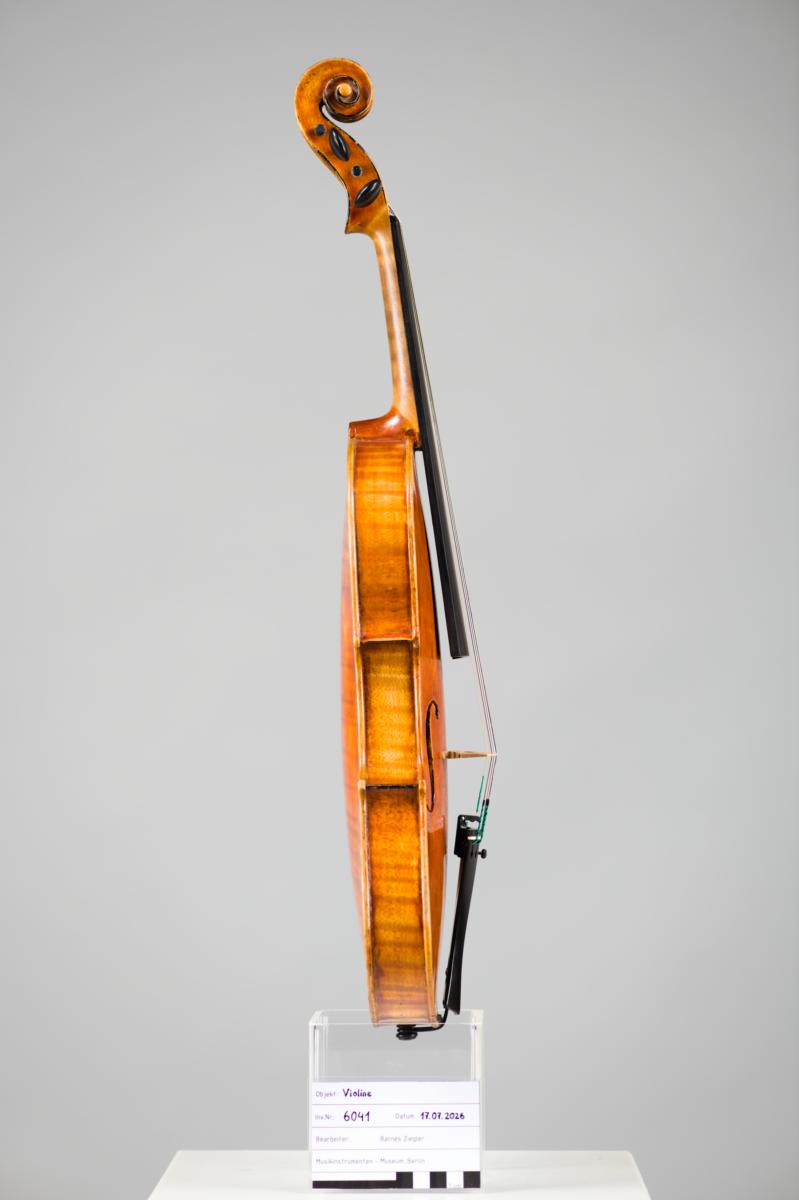 Violine