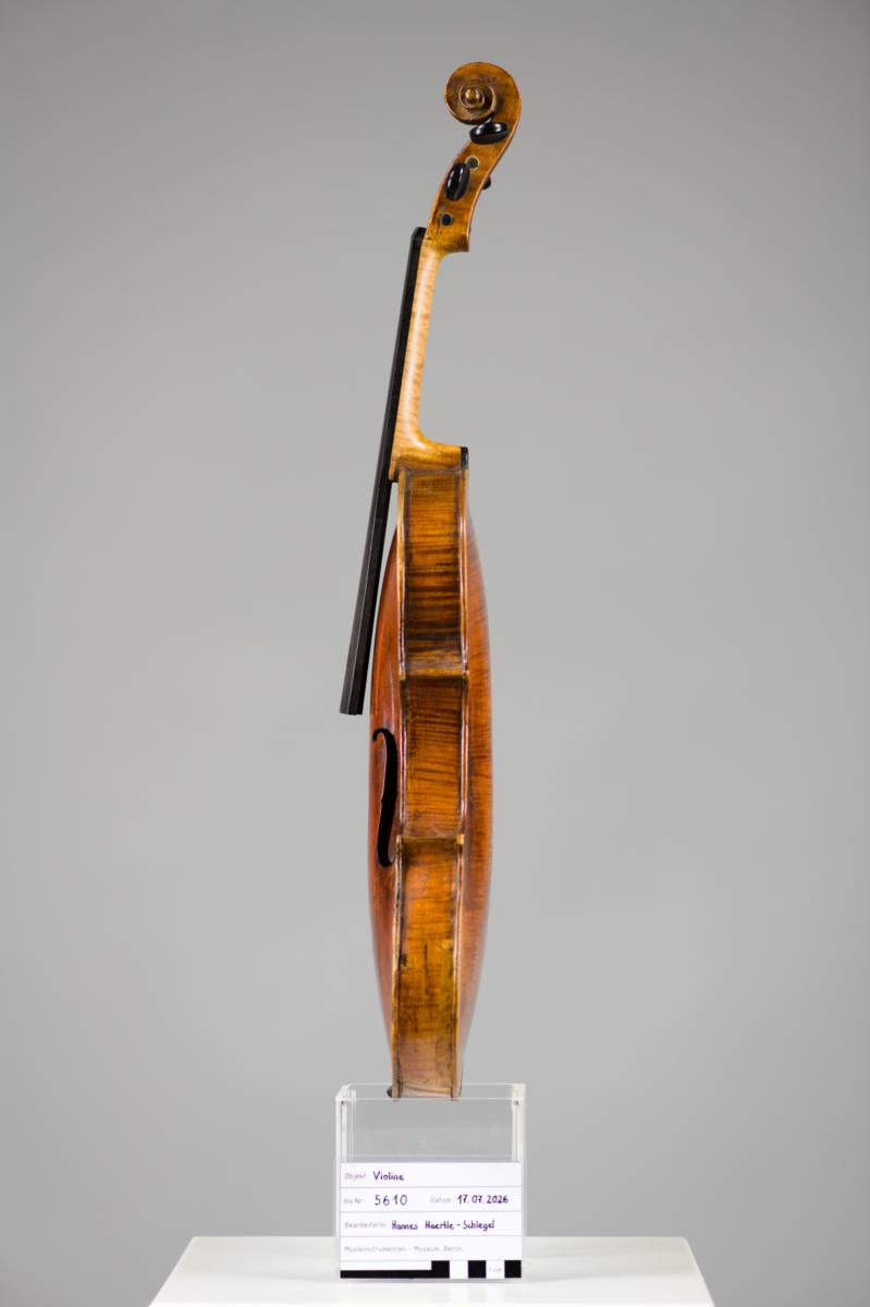 Violine